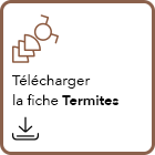 interne-icon-telechargement-termite