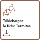 interne-icon-telechargement-amiante